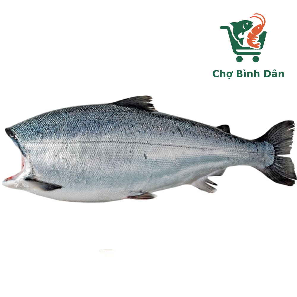 Cá Hồi COHO cấp đông 3.5-4.5kg/con