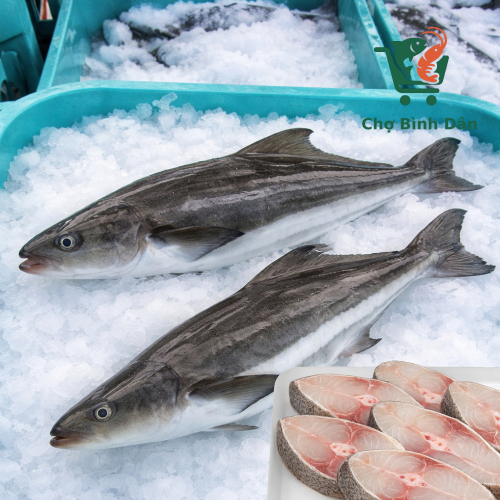 Cá Bớp tươi 3-4kg/ con cắt khoanh