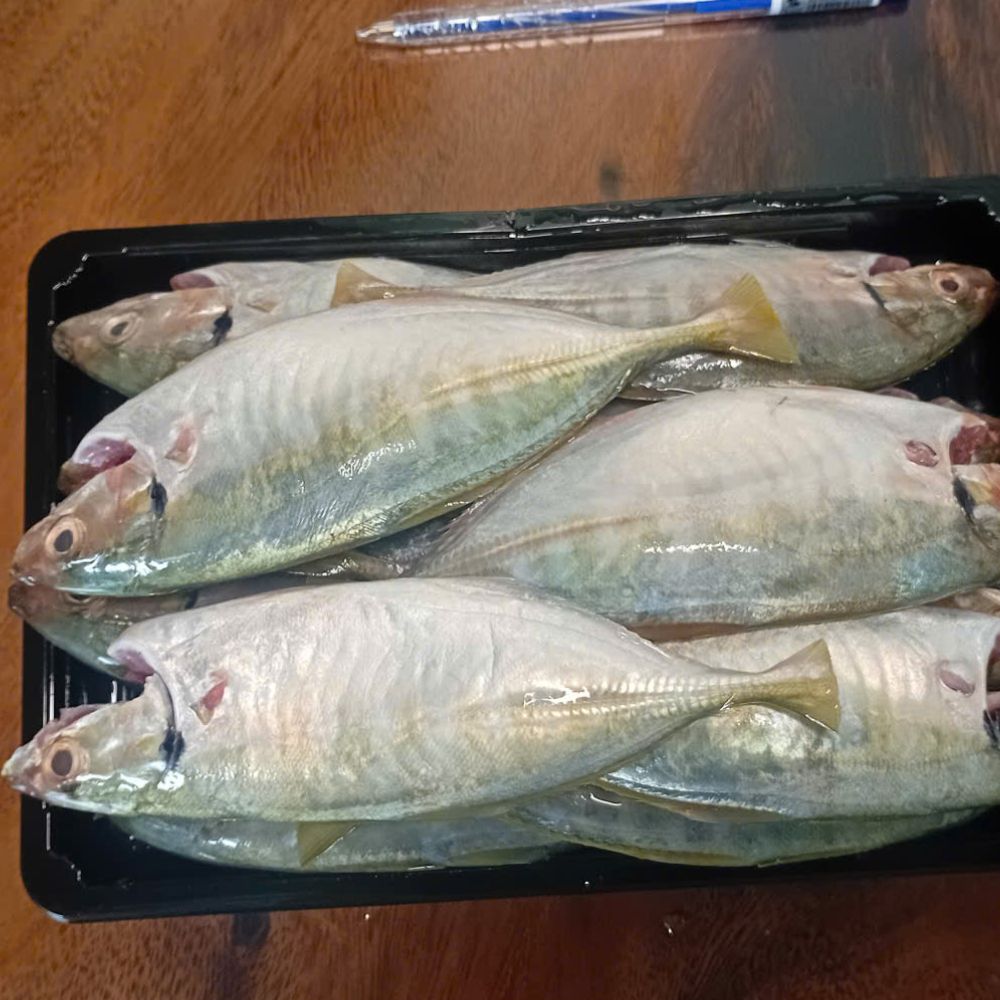 Cá Ngân tươi 7-9 con/kg làm sạch