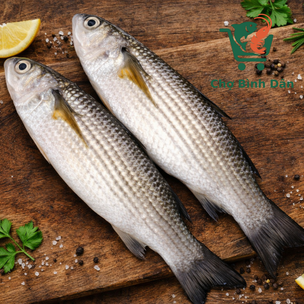 Cá Đối mục làm sạch