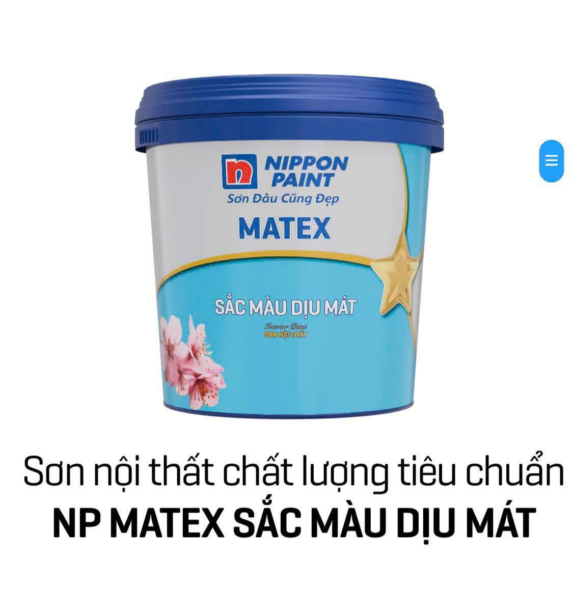 SƠN NP MATEX SMDM T5L