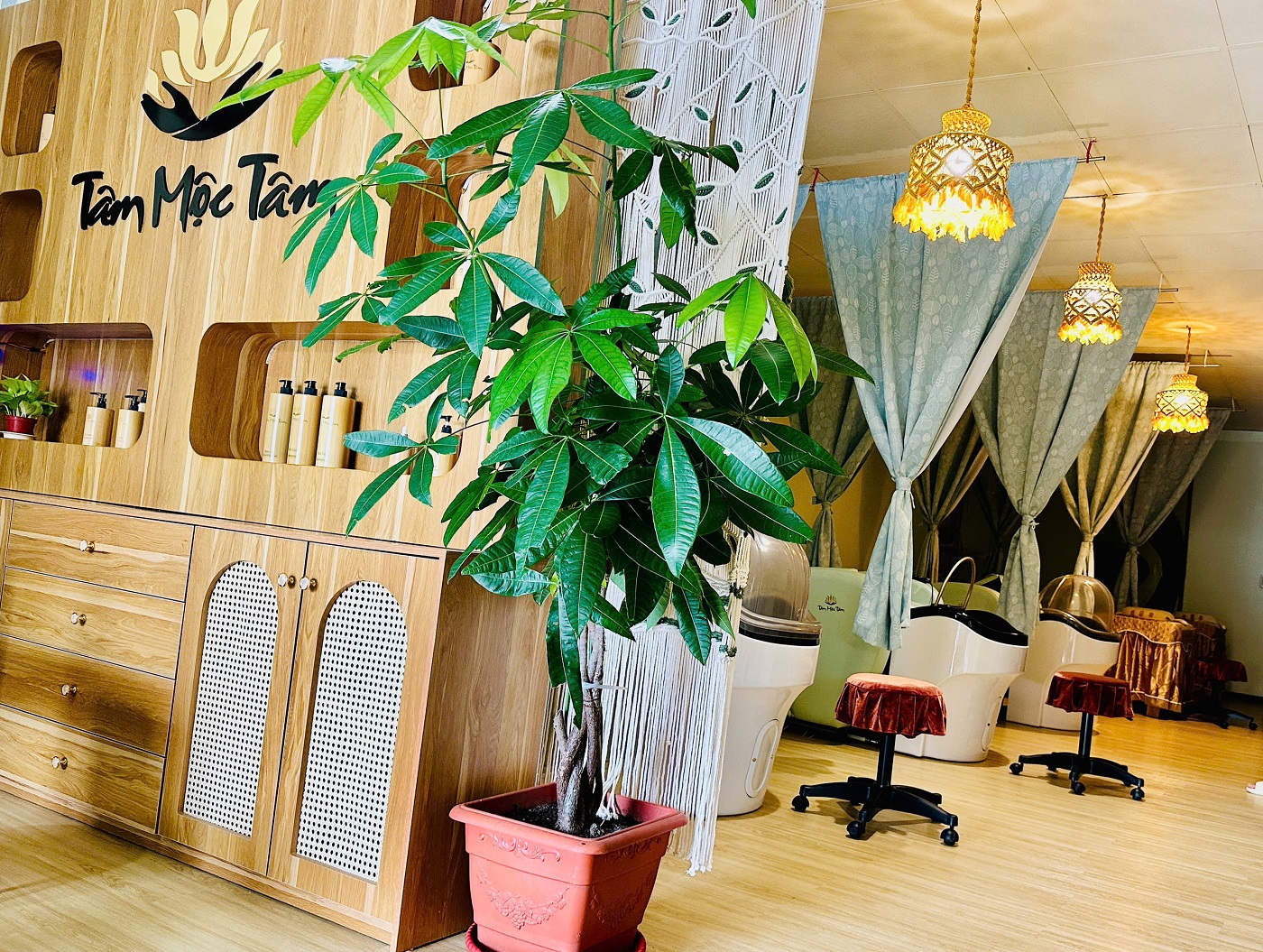 健康洗髮精和全身按摩椅