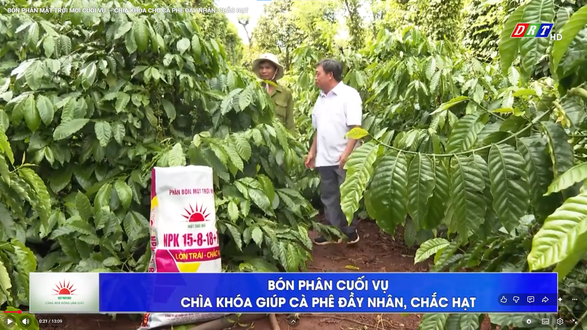 BÓN PHÂN MẶT TRỜI MỚI CUỐI VỤ – CHÌA KHÓA CHO CÀ PHÊ ĐẦY NHÂN, CHẮC HẠT