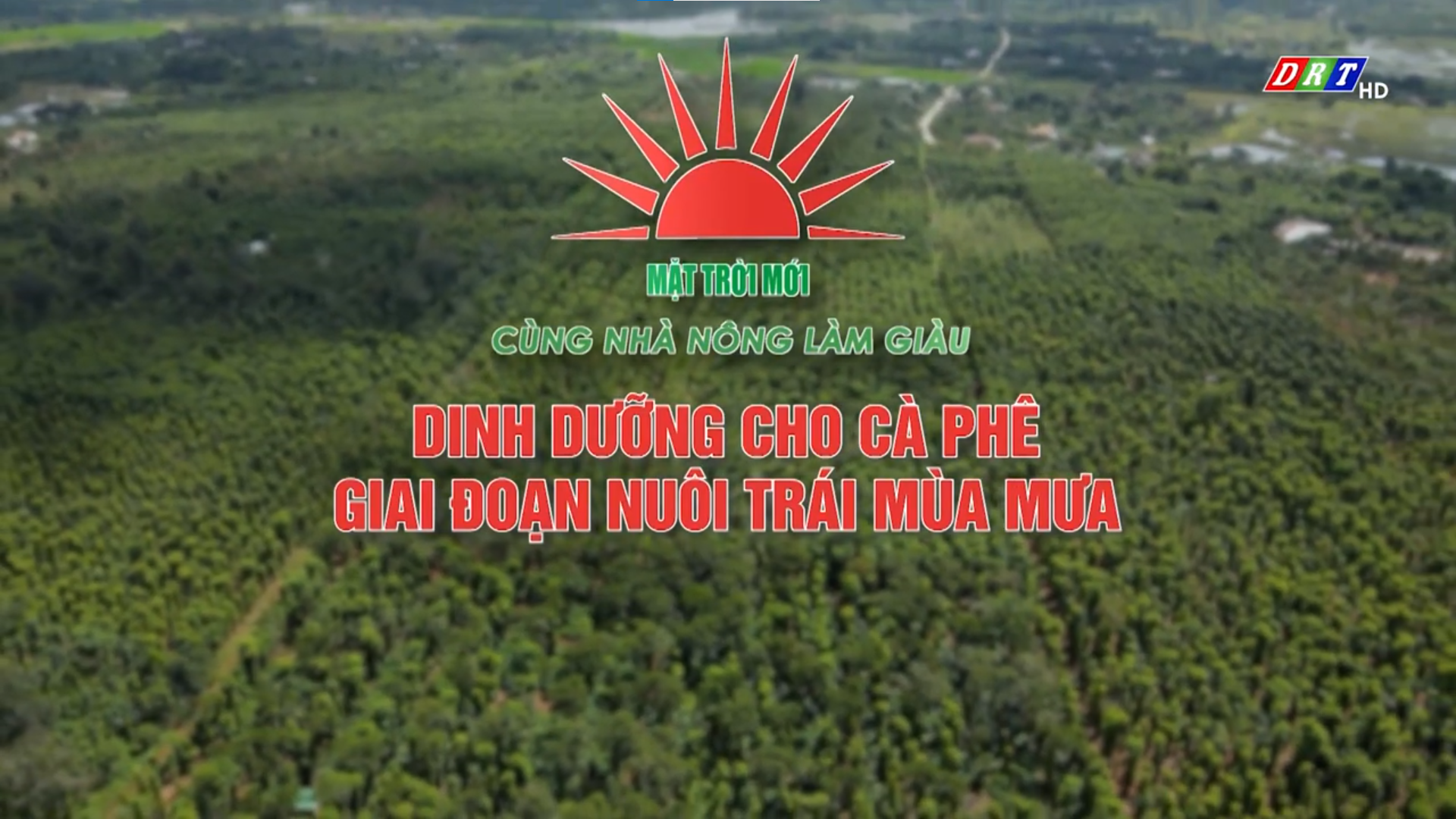 DINH DƯỠNG CHO CÀ PHÊ GIAI ĐOẠN NUÔI TRÁI MÙA MƯA
