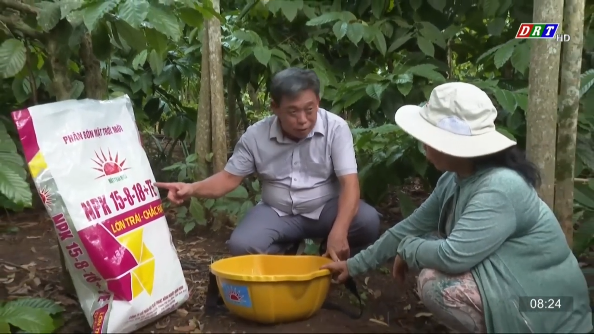 QUẢN LÝ DINH DƯỠNG VƯỜN HỒ TIÊU GIAI ĐOẠN TĂNG TRƯỞNG