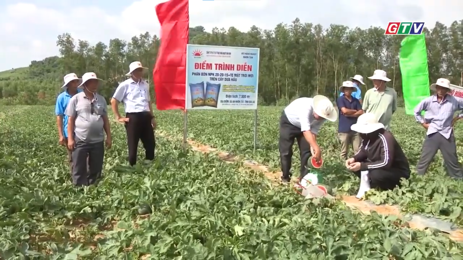 Nâng cao năng suất và chất lượng hoa quả, thúc đẩy thực hiện chủ trương chuyển đổi cơ cấu cây trồng