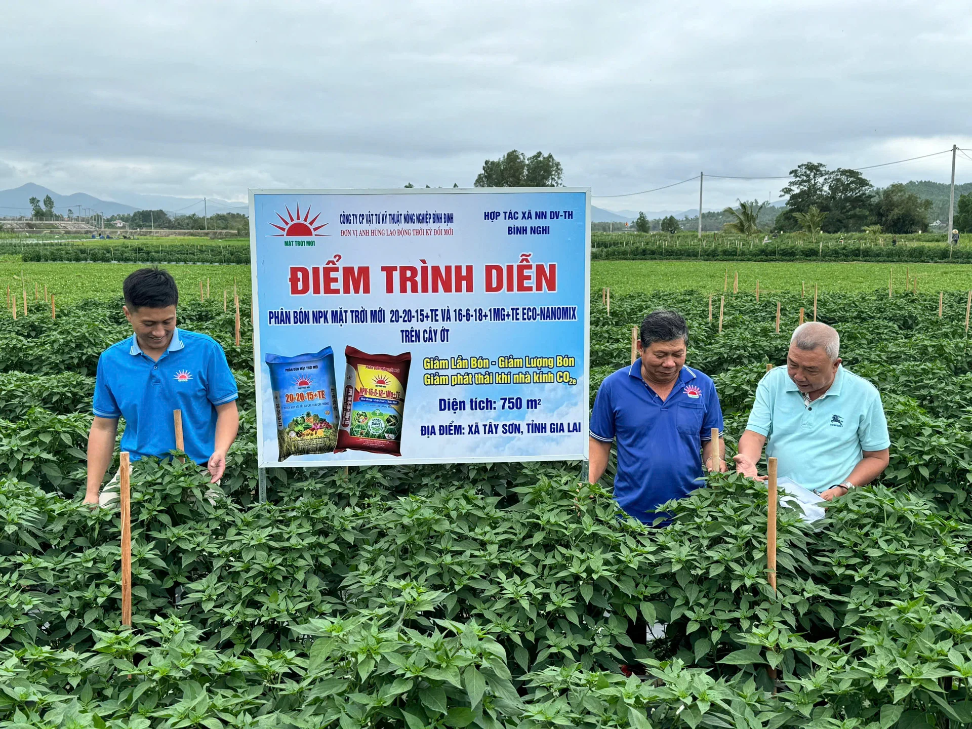 TS Nguyễn Thanh Phương (bên phải ngoài cùng) khảo sát thực tế mô hình trồng ớt. Ảnh: Hữu Phước