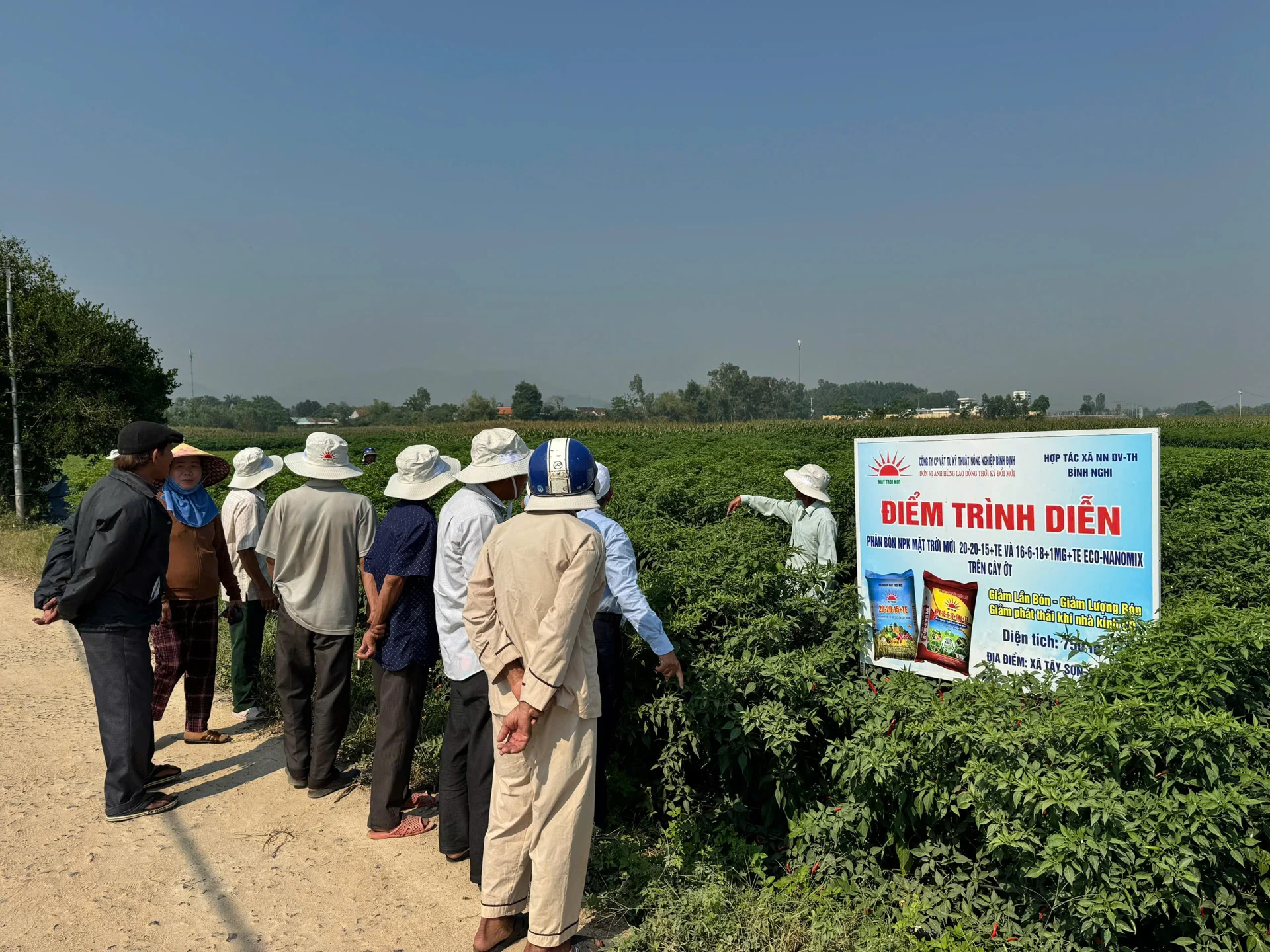 Nông dân thôn Thủ Thiện Thượng đến xem mô hình trồng ớt trình diễn. Ảnh: Minh Toàn