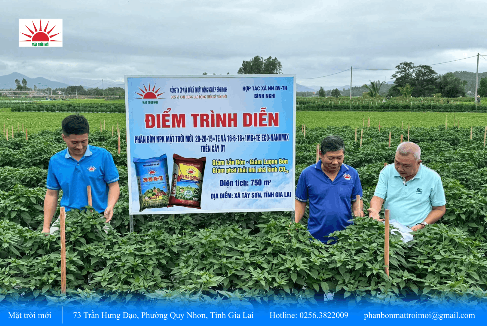 Bón phân phù hợp, ruộng ớt ở Gia Lai đạt doanh thu 21 triệu đồng/sào