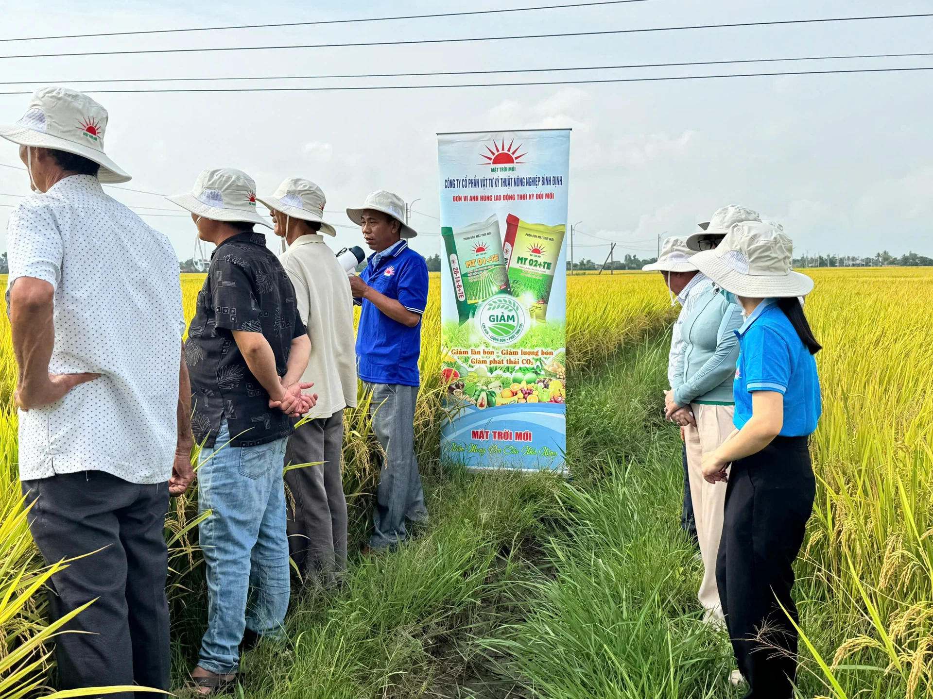 Phân bón thế hệ mới giúp nông dân trồng lúa tiết kiệm chi phí, giảm ô nhiễm môi trường. Ảnh: Mỹ Hạnh