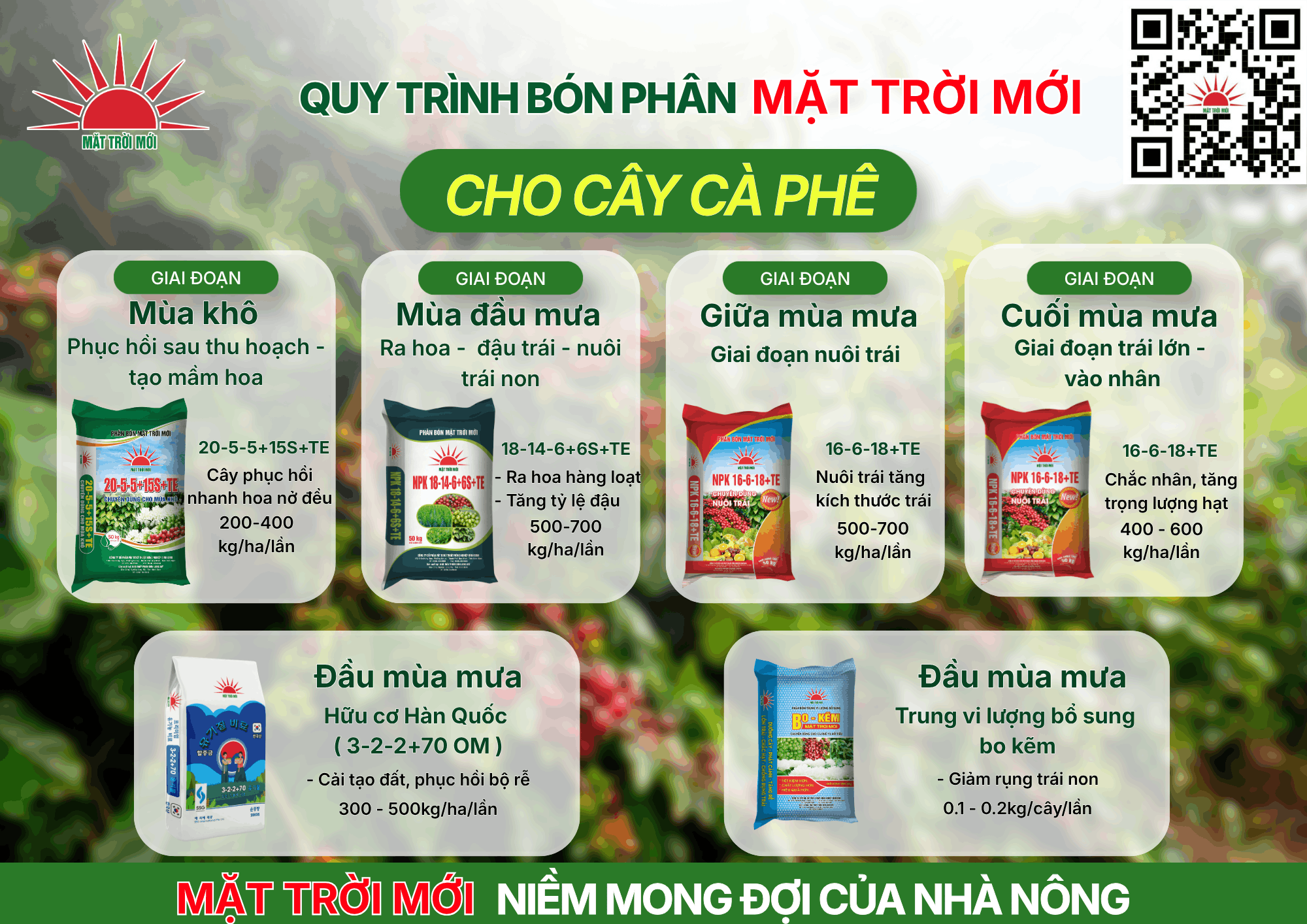 Quy trình sử dụng phân bón Mặt Trời Mới công nghệ ECO-NANOMIX cho cây cà phê