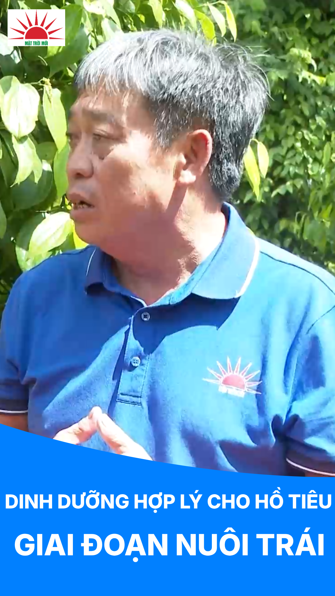 🌞 Mặt Trời Mới – Cùng Nhà Nông Làm Giàu 🌾24/8/2026 | DINH DƯỠNG HỢP LÝ CHO HỒ TIÊU GIAI ĐOẠN NUÔI TRÁI
