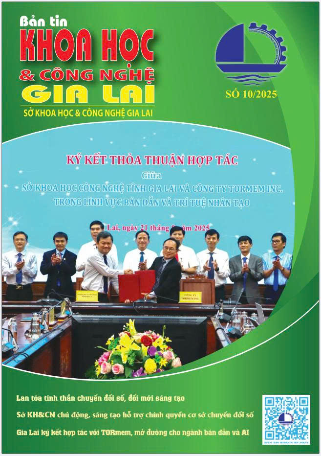 Hiệu quả phân bón NPK Mặt Trời Mới trên cây dưa hấu tại Gia Lai