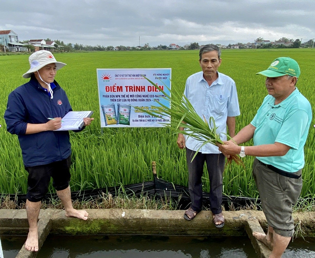 Phân bón NPK công nghệ Eco-Nanomix phát huy hiệu quả trên cây lúa ở Bình Định