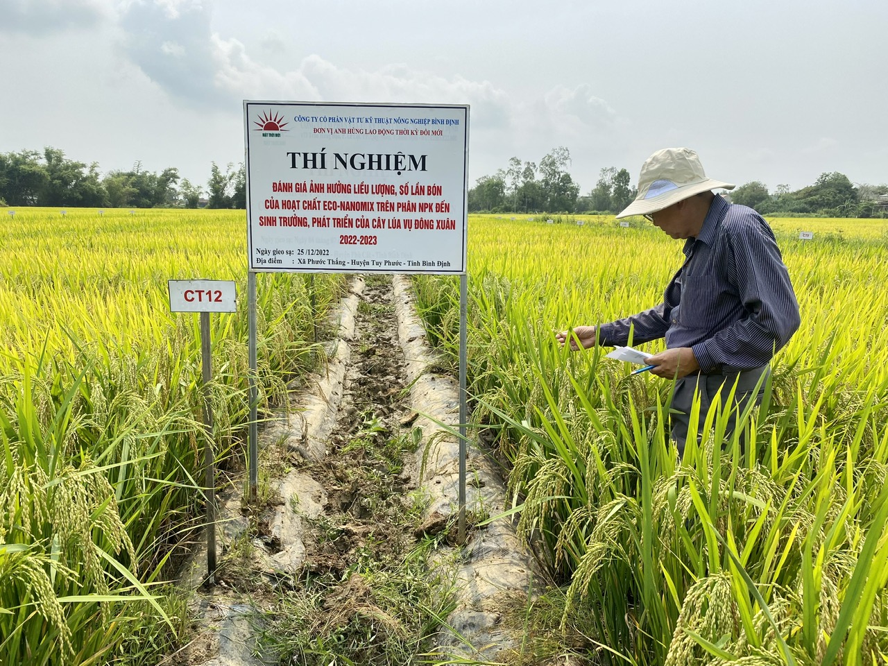KẾT QUẢ SỬ DỤNG PHÂN BÓN NPK THẾ HỆ MỚI CÔNG NGHỆ ECO-NANOMIX TRÊN CÂY LÚA TRONG VỤ ĐÔNG XUÂN 2022-2023 TẠI VÙNG DUYÊN HẢI NAM TRUNG BỘ VÀ ĐỒNG BẰNG SÔNG CỬU LONG