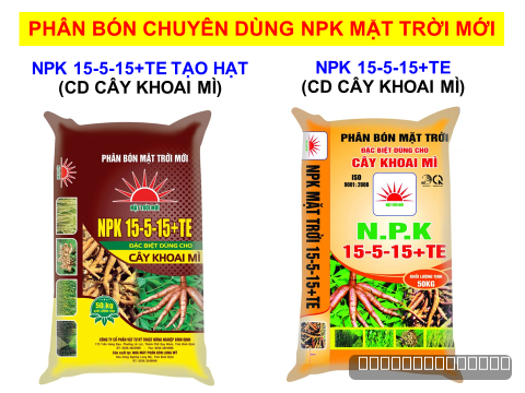 KẾT QUẢ SẢN XUẤT SẮN THÂM CANH VỚI PHÂN BÓN CHUYÊN DÙNG NPK MẶT TRỜI MỚI TẠI KRÔNG PA – GIA LAI, PHÙ CÁT – BÌNH ĐỊNH VÀ TƯ NGHĨA – QUẢNG NGÃI