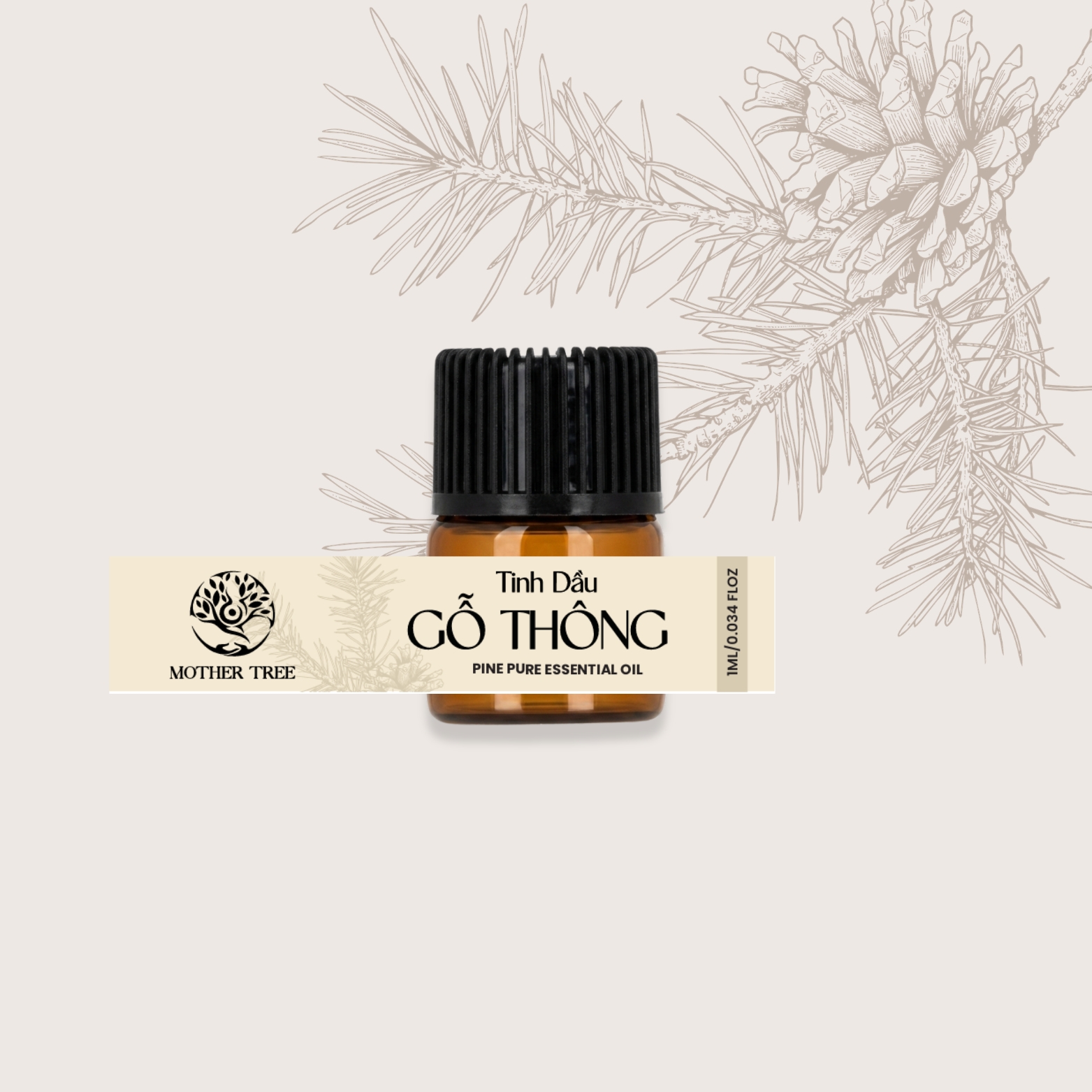 Tinh Dầu Gỗ Thông - Pine Pure Essential Oil - Ảnh 3