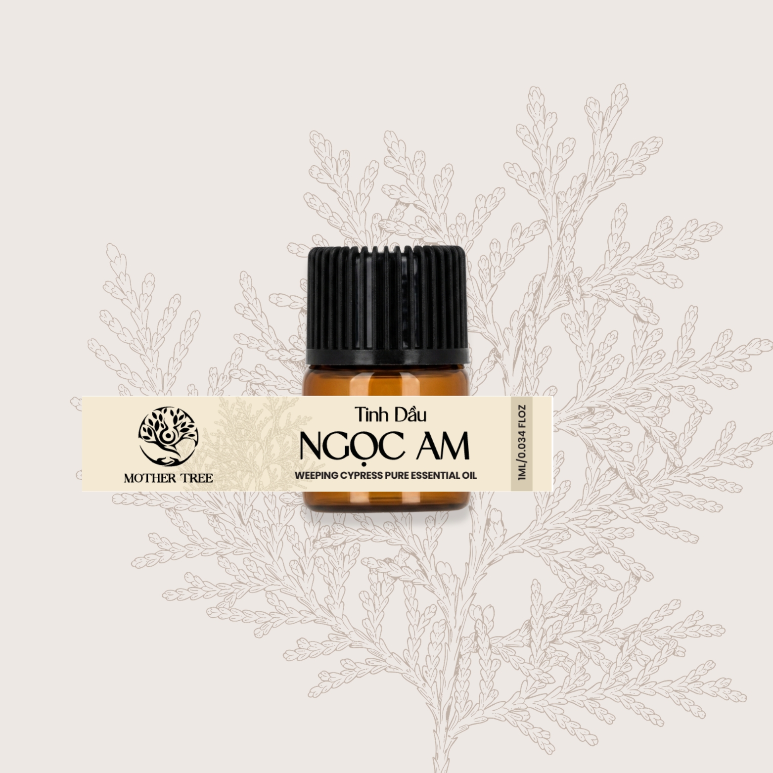 Tinh Dầu Ngọc Am - Weeping Cypress Pure Essential Oil - Ảnh 3