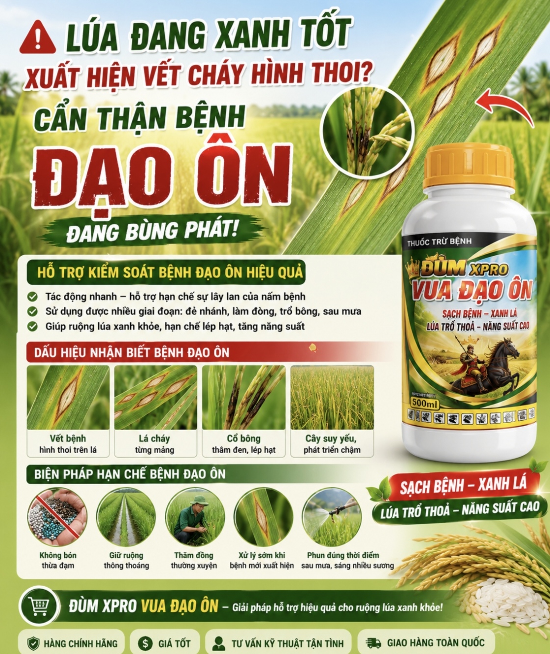 ĐÙM XPRO VUA ĐẠO ÔN – Giải pháp hỗ trợ phòng trừ đạo ôn hiệu quả cho ruộng lúa xanh khỏe