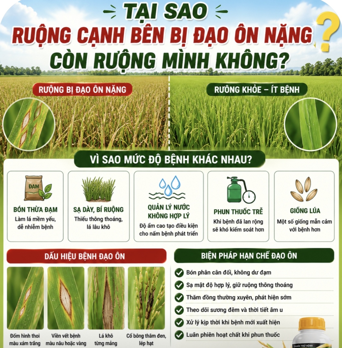 “Tại sao ruộng cạnh bên bị đạo ôn nặng còn ruộng mình không?”