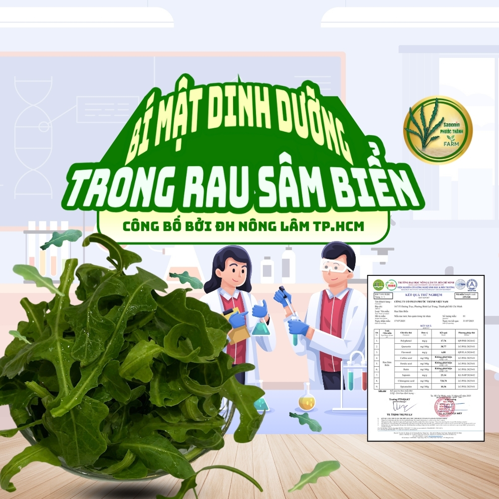 BÍ MẬT DINH DƯỠNG BÊN TRONG RAU SÂM BIỂN