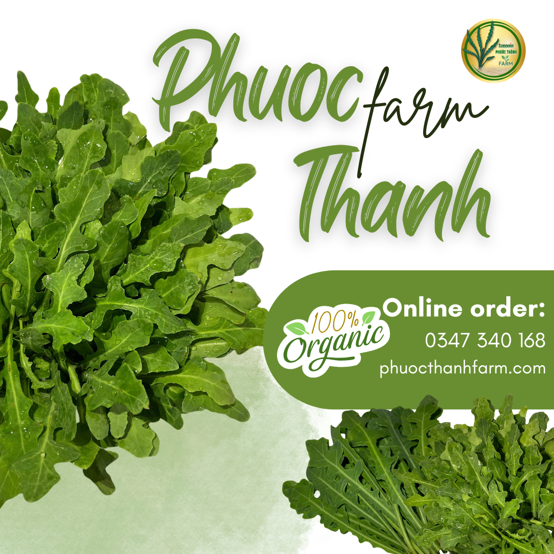 Rau sâm biển không chỉ là một loại rau dại ven biển quen thuộc mà còn được xem như một “thảo dược” với giá trị dinh dưỡng cao. Đặc biệt, các nhà nghiên cứu tại Đại học Nông Lâm TP.HCM đã nghiên cứu và công bố rằng trong rau sâm biển có chứa saponin - một hoạt chất quý hiếm có khả năng chống ung thư mạnh mẽ. Đây chính là bí mật dinh dưỡng khiến rau sâm biển ngày càng được quan tâm và ứng dụng rộng rãi trong ẩm thực cũng như y học hiện đại. Tại Phước Thành Farm, chúng tôi luôn tin rằng giá trị thực sự của một sản phẩm không chỉ đến từ sự tươi ngon, an toàn, mà còn đến từ những lợi ích sức khỏe vượt trội mà nó mang lại.