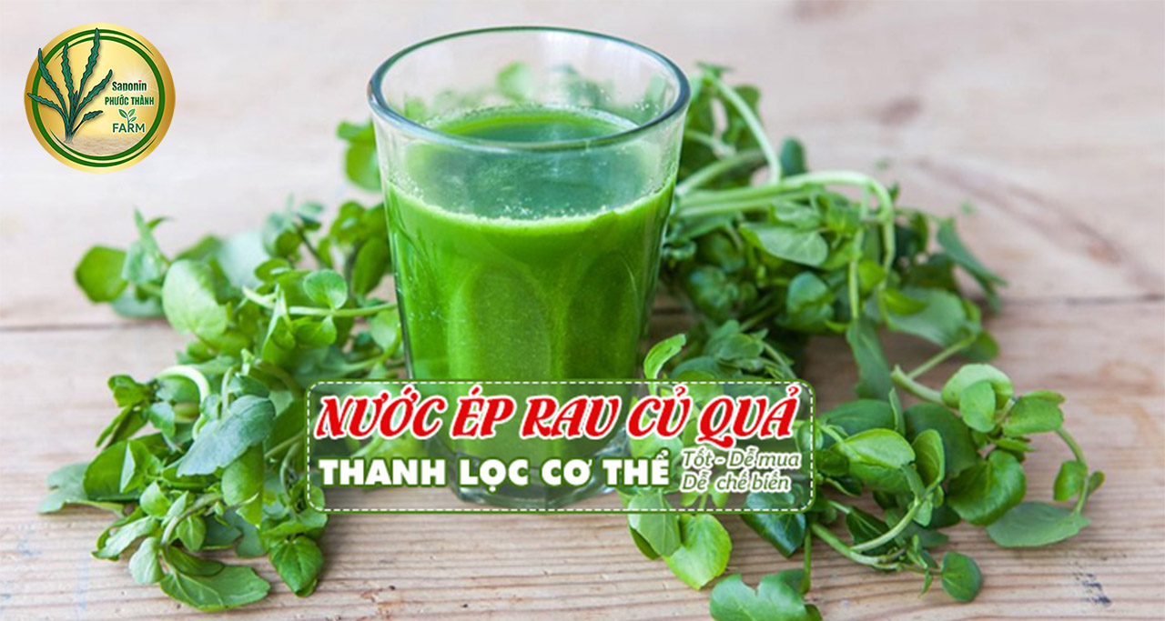 xà lách xoong