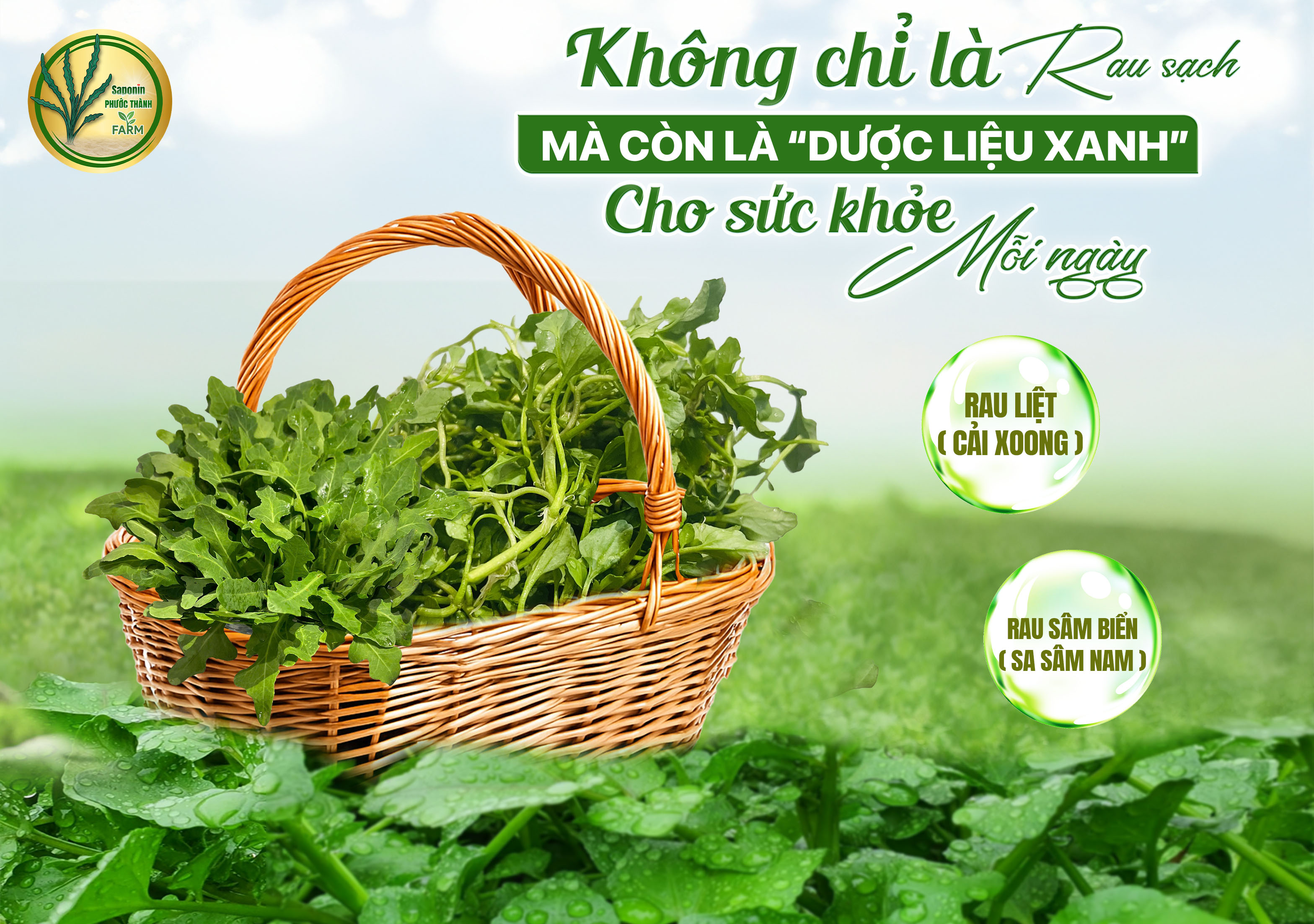 Rau hữu cơ – Công nghệ và mô hình trồng rau hữu cơ hiệu quả, an toàn