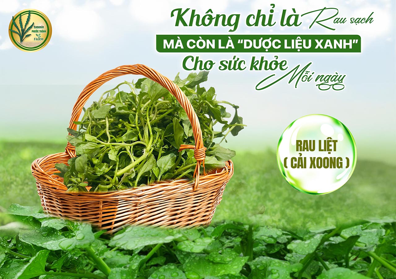 Cải xoong và cách nấu canh cải xoong thanh mát, bổ dưỡng