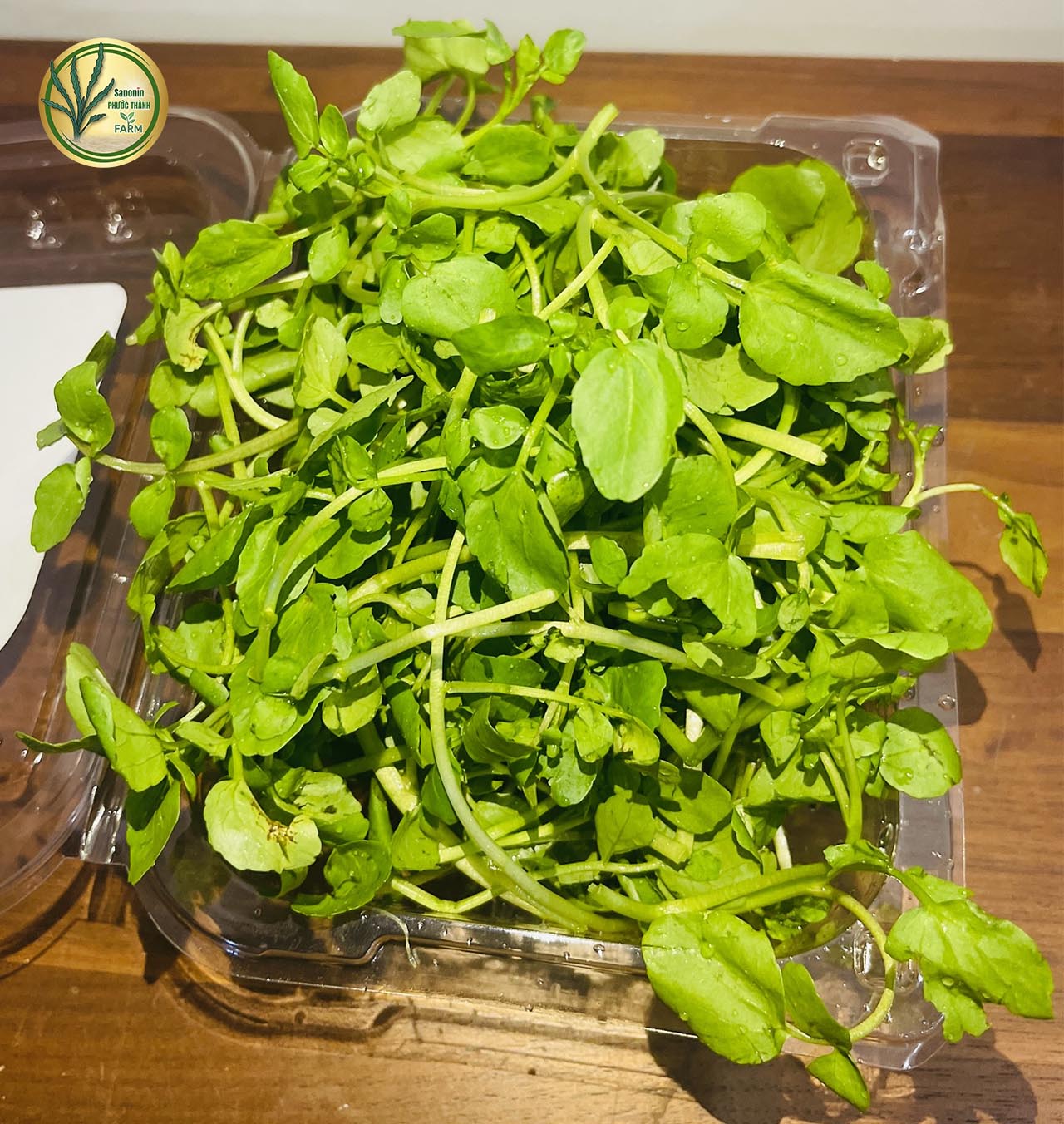 cải xà lách xoong