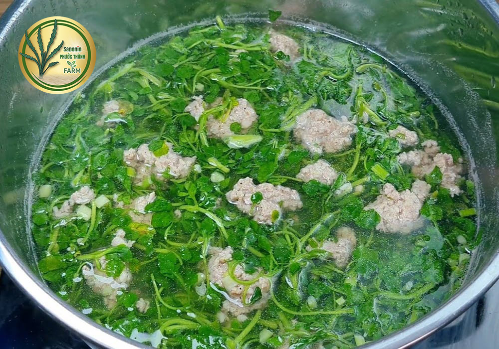 cải xà lách xoong