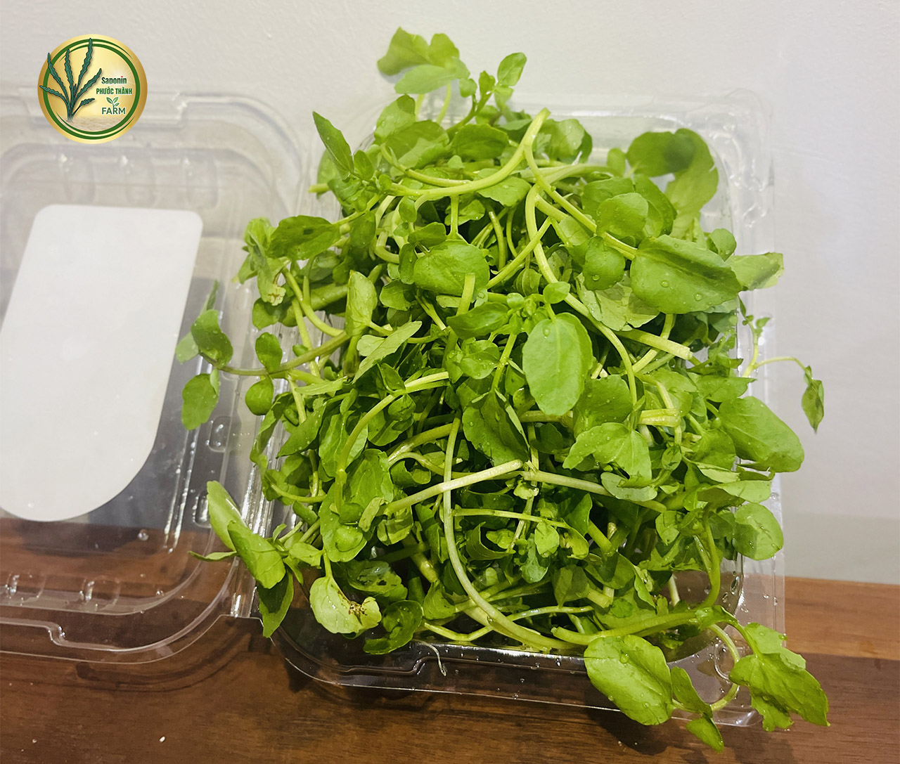 Mua rau liệt tại Hà Nội Quảng Trị Lâm Đồng