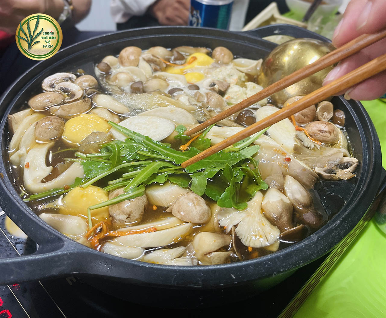 Tác dụng của rau sâm biển