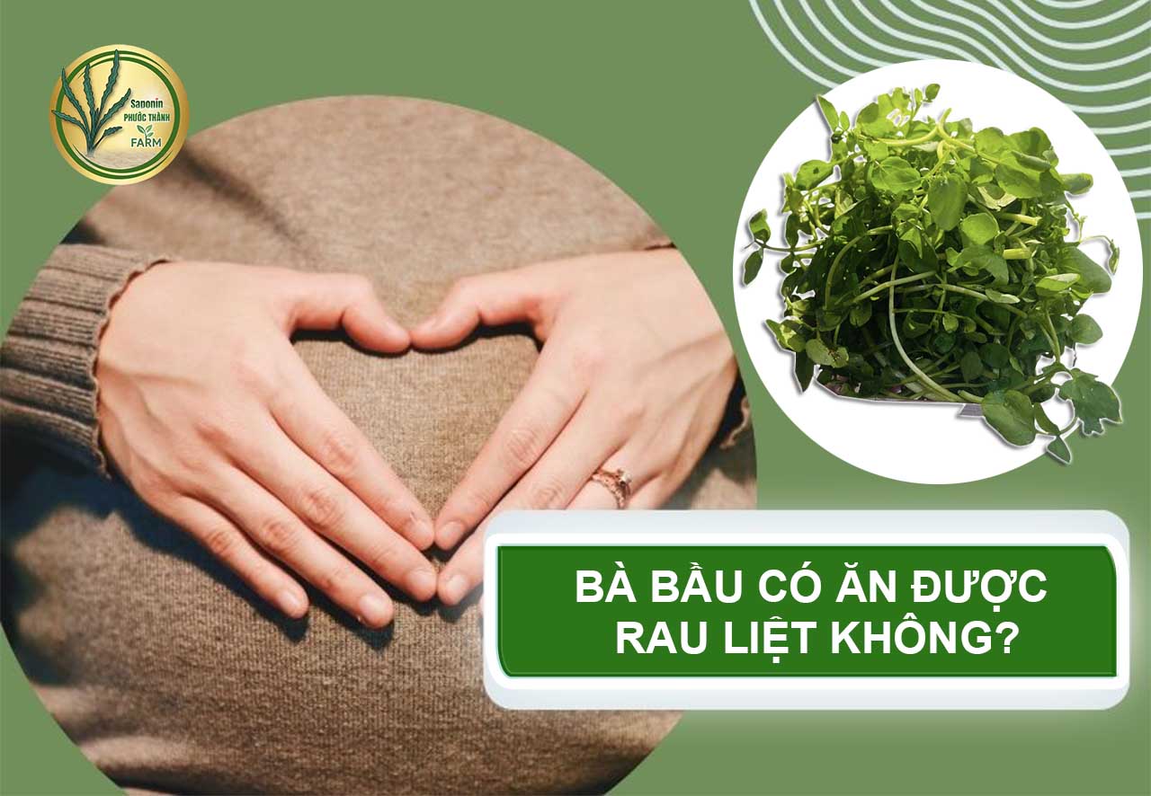 Bà bầu có ăn được rau liệt không? Cách nhặt rau liệt, nấu canh tôm tươi và thịt bằm ngon